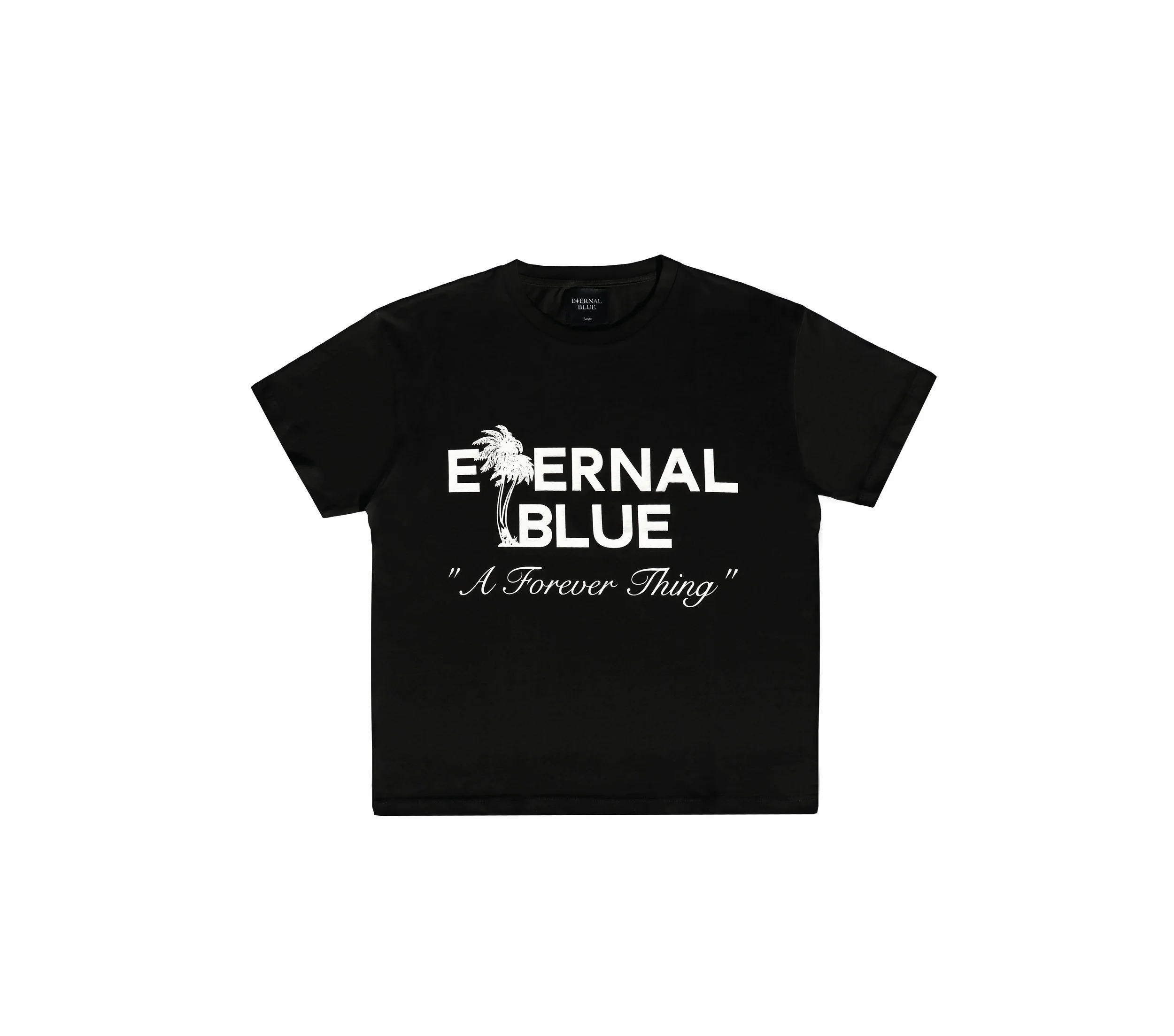 SHOP — ETERNAL BLUE